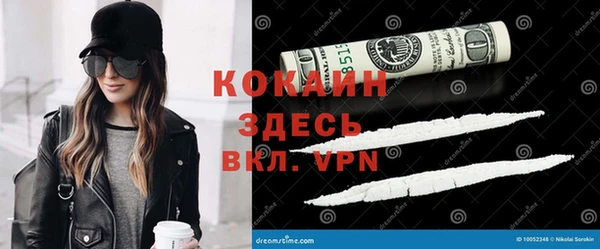 спиды Алзамай
