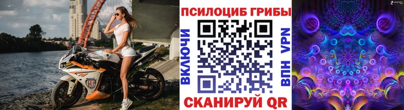 Галлюциногенные грибы GOLDEN TEACHER  Шахты 