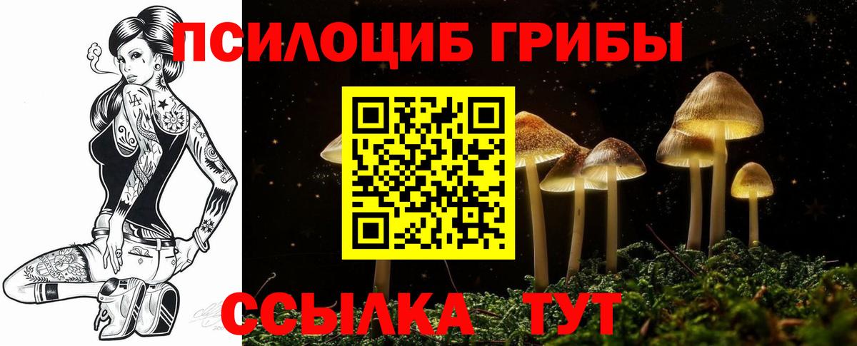 Шахты  Галлюциногенные грибы Psilocybine cubensis  Вход с VPN 